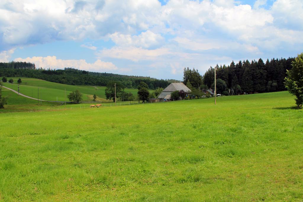 Ferienwohnung Schwarzwaldhof Titisee-Neustadt Exterior foto
