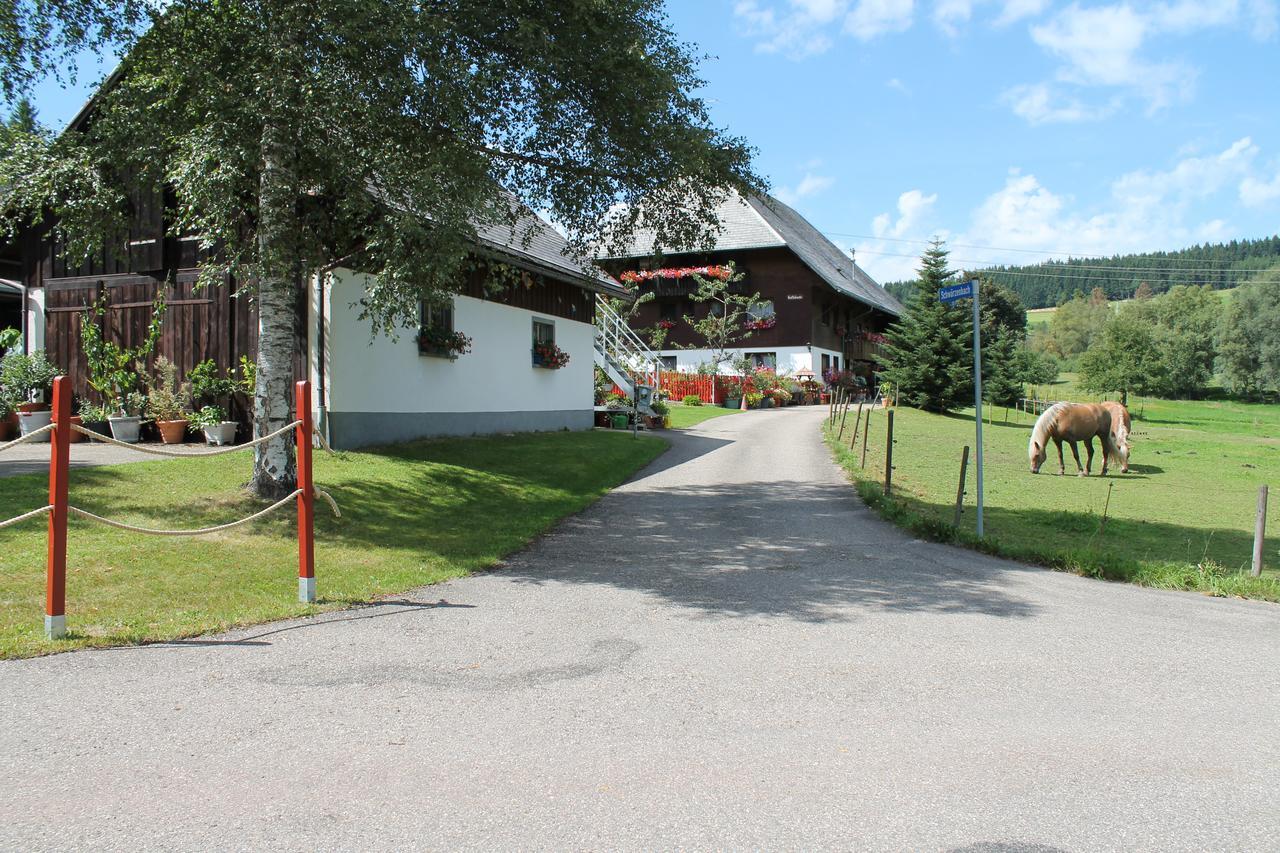 Ferienwohnung Schwarzwaldhof Titisee-Neustadt Exterior foto